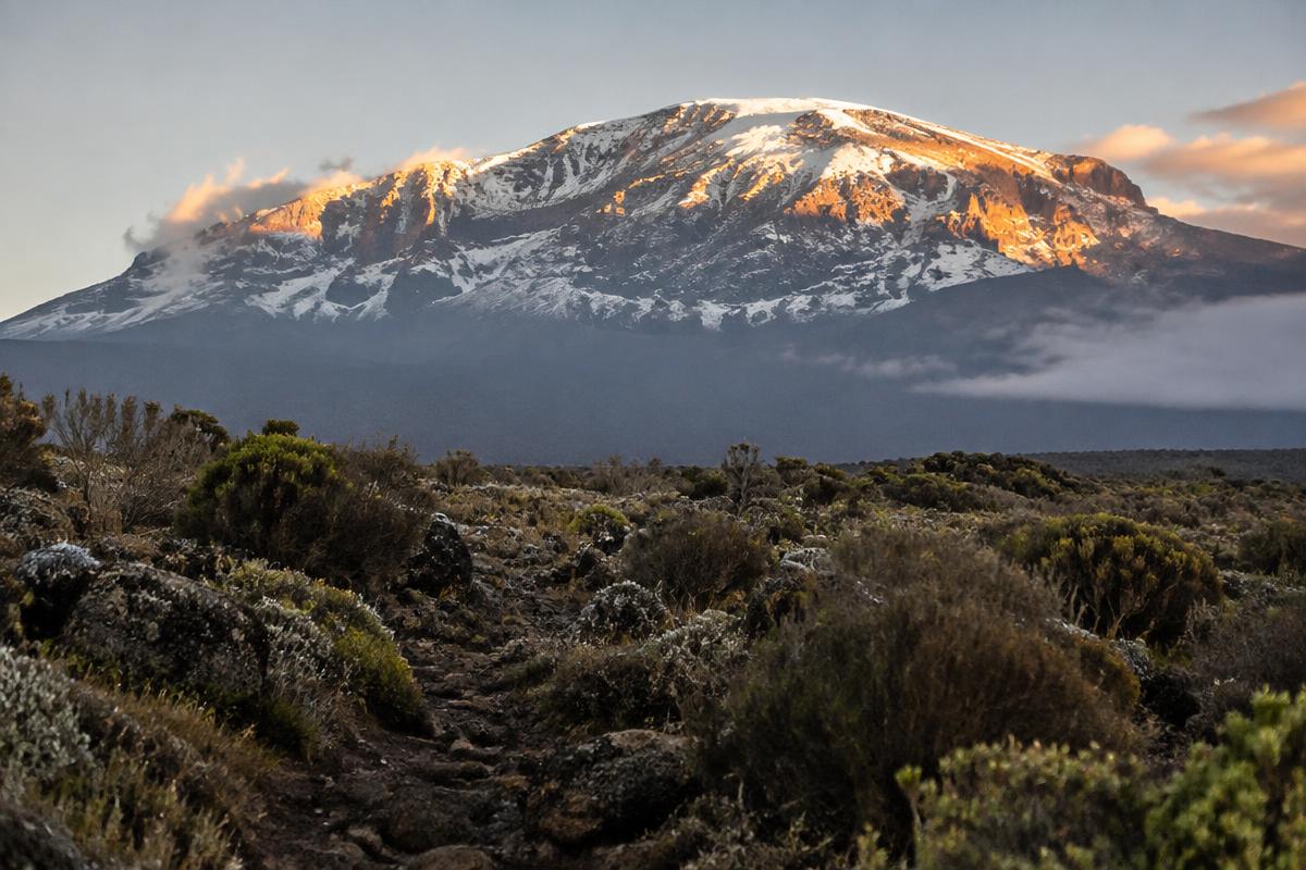 Kilimanjaro — Lemosho Route, 8 Days